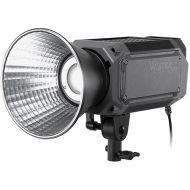 FotodioX Pro Warrior 300D Daylight LED Monolight