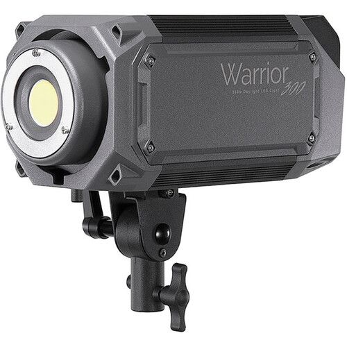  FotodioX Pro Warrior 300D Daylight LED Monolight