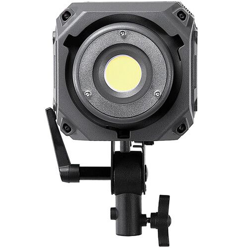  FotodioX Pro Warrior 300D Daylight LED Monolight