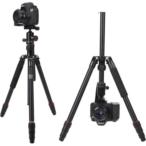  Fotopro Camera Tripod, 53.5 Inch Alluminum Tripod，Professional Travel Tripod with Ball Head，Compact for DSLR Tripod Monopod Camera Nikon/Sony/Canon,Black