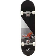 Foundation Templeton Push Street Complete Skateboard 8.25