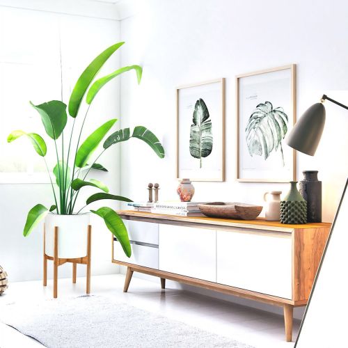  Fox & Fern FOX & FERN Modern Adjustable Plant Stand - Adjust Width 8 up to 12 - Bamboo - EXCLUDING White Ceramic Plant Pot