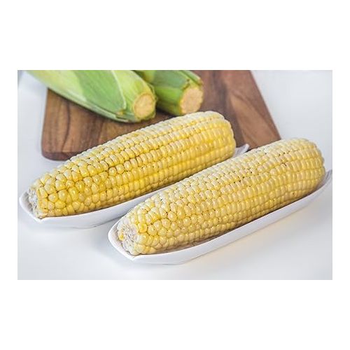  Fox Run Plastic Corn on the Cob Dish, Set of 2, White Trays