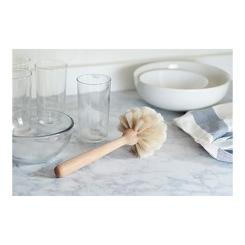  Fox Run Kitchen Brush, Natural Horsehair Fiber Dish and Glass Brush, 10