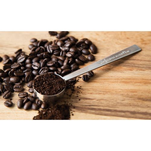  Fox Run Coffee Measure Scoop, 5.75 x 1.5 x 1.25 inches, Metallic