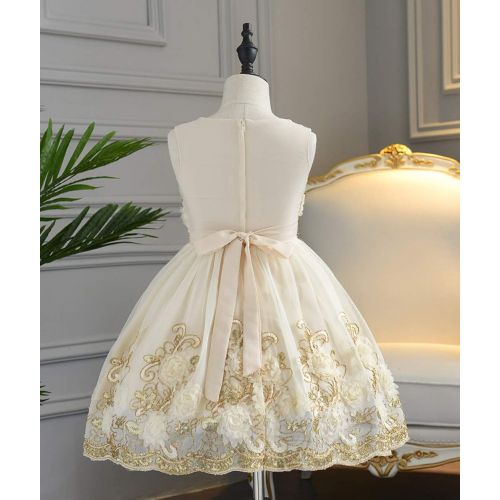  Foxjoy Ruffles Lace Bow Flower Tulle Princess Formal Wedding Birthday Party Dress for Toddler Baby Girl