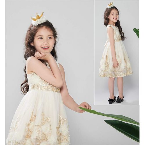  Foxjoy Ruffles Lace Bow Flower Tulle Princess Formal Wedding Birthday Party Dress for Toddler Baby Girl