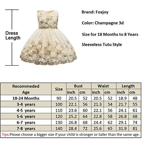  Foxjoy Ruffles Lace Bow Flower Tulle Princess Formal Wedding Birthday Party Dress for Toddler Baby Girl