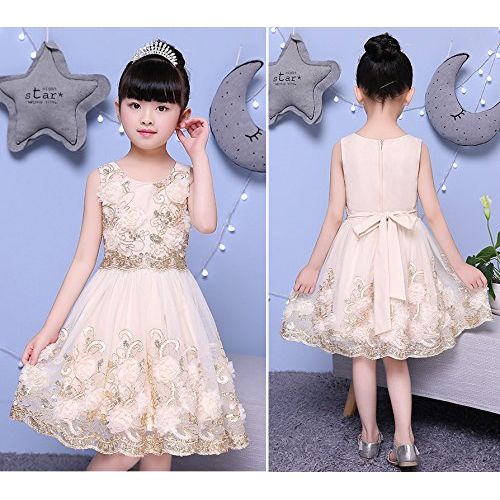  Foxjoy Ruffles Lace Bow Flower Tulle Princess Formal Wedding Birthday Party Dress for Toddler Baby Girl