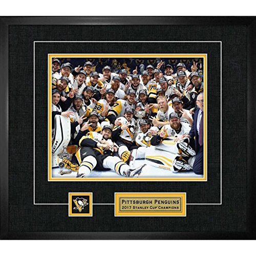  Frameworth Pittsburgh Penguins - 8x10 Photo & Logo Frame Team Celebration 2017 Stanley Cup