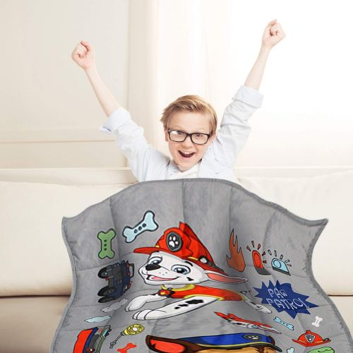  Franco Bedding Super Soft Plush Kids Weighted Blanket, 30 x 42” 3.5lbs Ages 4+, Paw Patrol