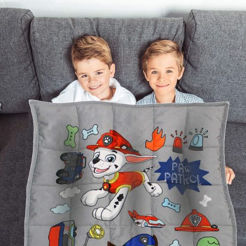  Franco Bedding Super Soft Plush Kids Weighted Blanket, 30 x 42” 3.5lbs Ages 4+, Paw Patrol