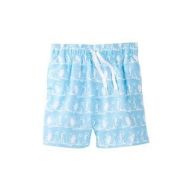 Freeze Boys Blue Polyester Swim Shorts by Azul Swimwear