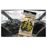 Fresh Clean Scent Hanging Car and Home Air Freshener 2pack