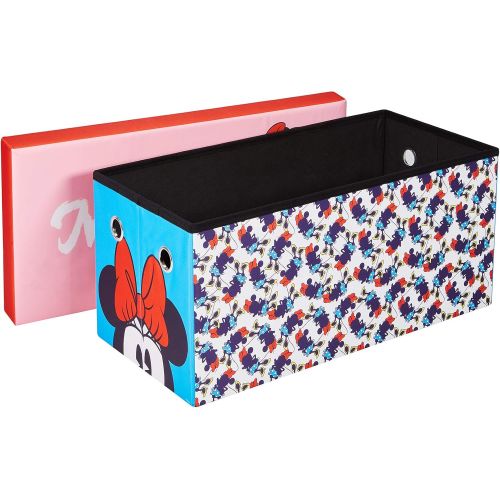  Fresh Home Elements Disney Mouse Bench and Chest Toy Box Ottoman Storage, 30 Minnie