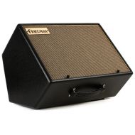 Friedman ASM-10 500-watt 1x10