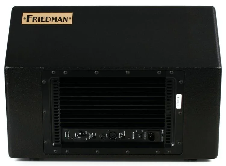  Friedman ASM-10 500-watt 1x10