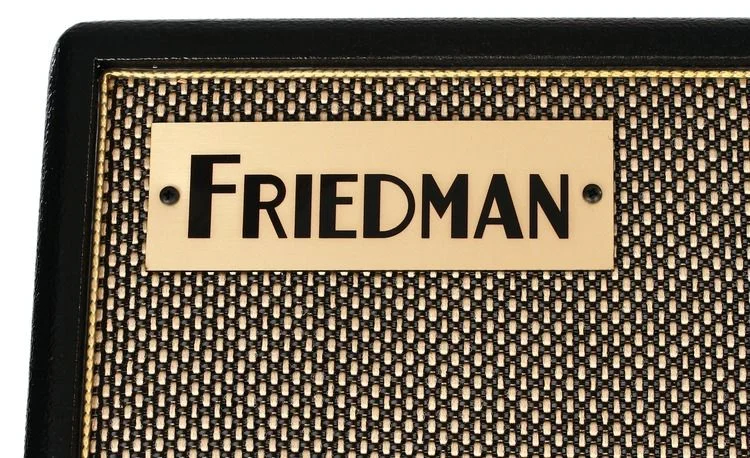  Friedman ASM-10 500-watt 1x10