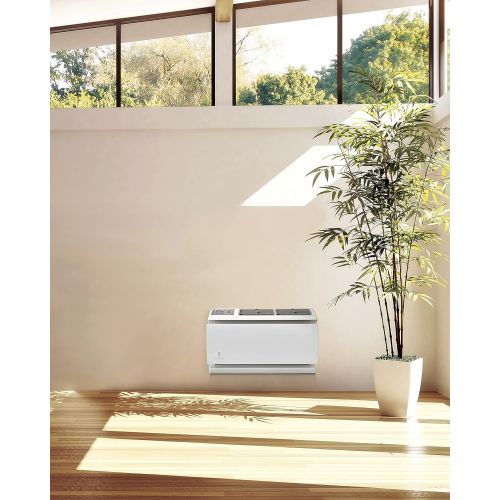  Friedrich 10000 BTU - ENERGY STAR - 10.7 EER - Wall Master Series Room Air Conditioner, 230-volt