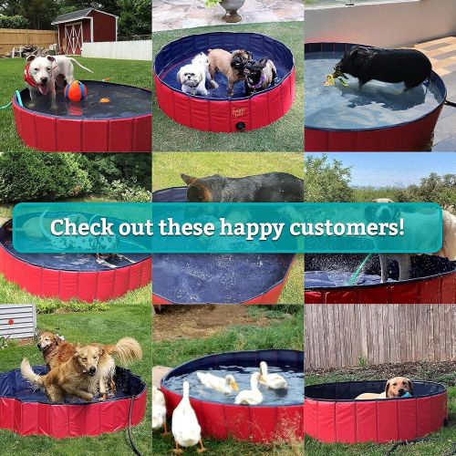  Frontpet XL Foldable Dog Pool - 60 Width Swimming Pools for Large Dogs, Kiddie Pool & Dog Bath Tub, Non-Slip Scratch Resistant Hard Plastic Shell Dog Pool, Portable Pet Pool for Do