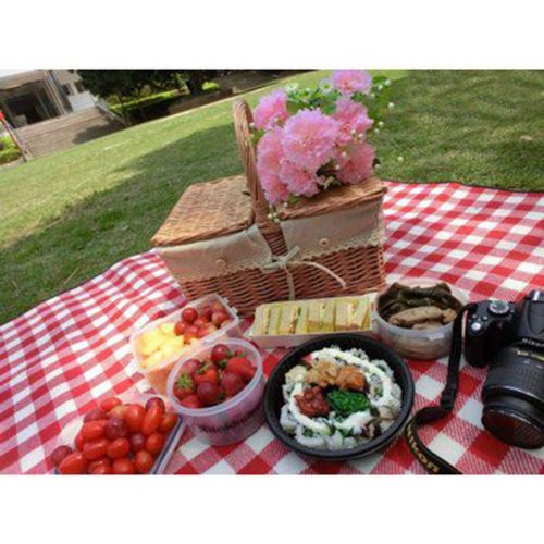  FrtyJdsa Handmade Wicker Basket with lid Insulated Multi-Season Outdoor Home Portable Picnic Set with Handle Shopping Available-G 40x30x19cm