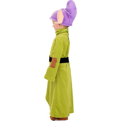  Fun Costumes Toddler Disney Snow White Dopey Costume