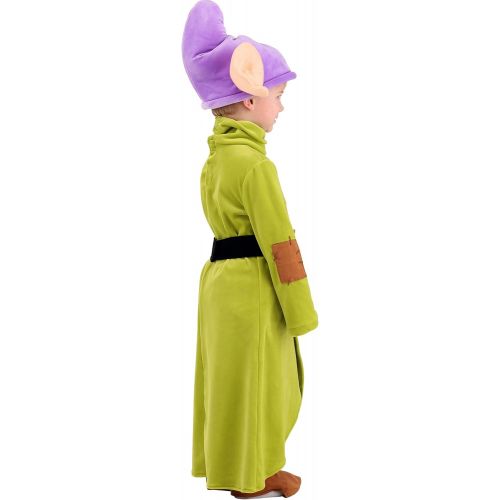  Fun Costumes Toddler Disney Snow White Dopey Costume