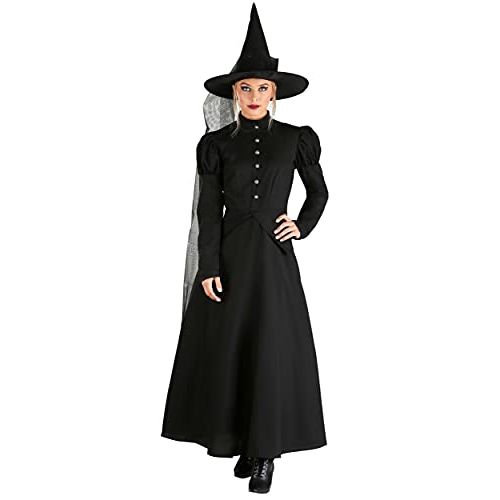  할로윈 용품Fun Costumes Womens Deluxe Wicked Witch Costume