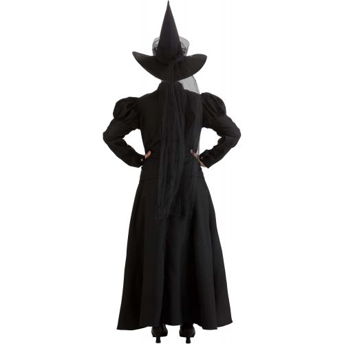  할로윈 용품Fun Costumes Womens Deluxe Wicked Witch Costume