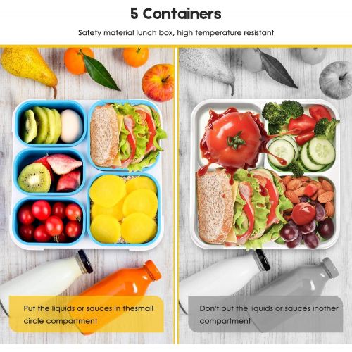  [아마존베스트]Fun Life Bento Lunch Box, 5 Compartment Insulated Leakproof Meal Prep Container Eco-Friendly Reusable for Men, Women, Adults, Kids (blue)