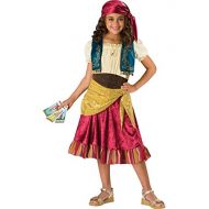 Fun World InCharacter Costumes Girls Gypsy Dress Costume, Multi Color, Large