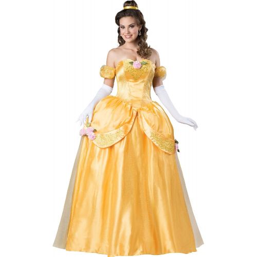  Fun World InCharacter Beautiful Princess Adult Costume-