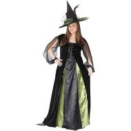 FunWorld Womens Plus Goth Maiden Witch Costume