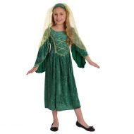 Fun shack Girls Tudor Princess Costume Kids Medieval Queen Historical Green Gown