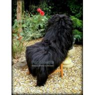 Fur Accents Long Hair Shaggy Sheepskin Throw Blanket  Mongolian  Charcoal Black  Rectangle Shape  4x5