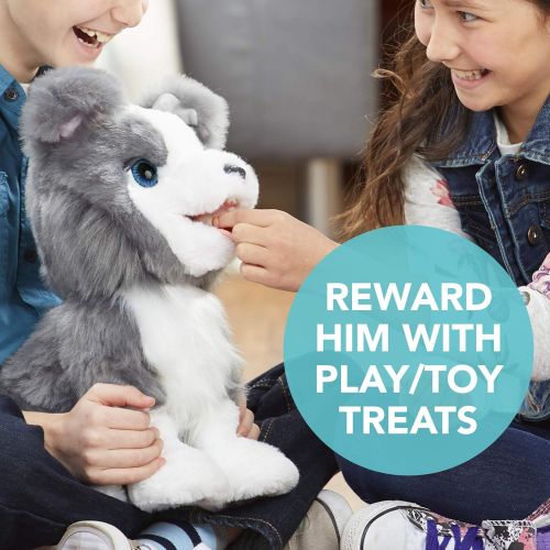  FurReal Friends Ricky, the Trick-Lovin’ Interactive Plush Pet Toy, 100+ Sound-and-Motion Combinations, Ages 4 and Up