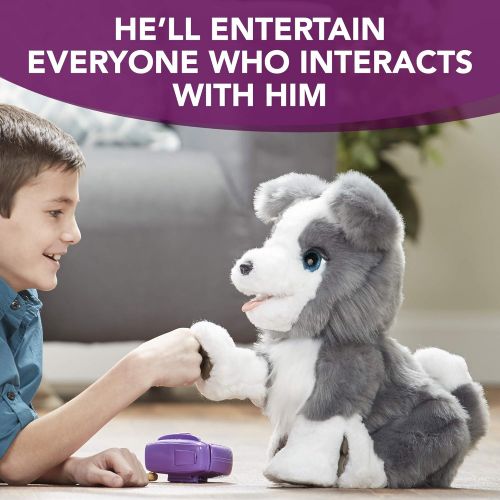  FurReal Friends Ricky, the Trick-Lovin’ Interactive Plush Pet Toy, 100+ Sound-and-Motion Combinations, Ages 4 and Up