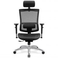 Furmax Ergonomic High Back Mesh Office Chair,Executive Computer Desk Chair with 3D Flip-up Arms, Swivel Task Chair with Adjustable Headrest and Lumbar Support (HB299 Black)