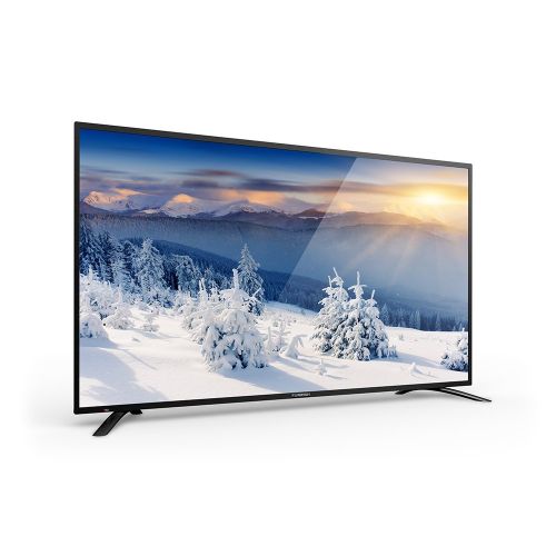  Furrion FEUS75F1A 75-Inch 4K LED Ultra HD TV, Black Stainless Steel (2017 Model)