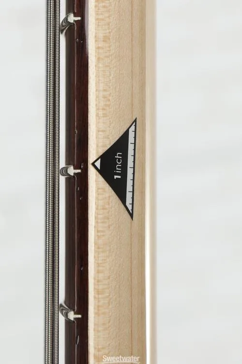  G&L CLF Research L-2500 Series 750 5-string Bass Guitar - Graphite Metallic Demo