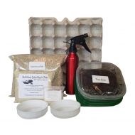 G&T Country Living, LLC Cricket Colony Starter Kit - Includes 6 Egg Flats, Premium Cricket Food (8 oz), 1 Water Gel Granules (1 oz), Spray Bottle, Vermiculite, Top Soil, Container & Lids | Raise Feeder Cr