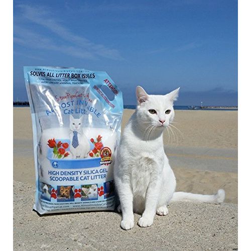  G That's Awesome StovePipeCats Awesome Almost Invisible Cat Litter (18 pounds)