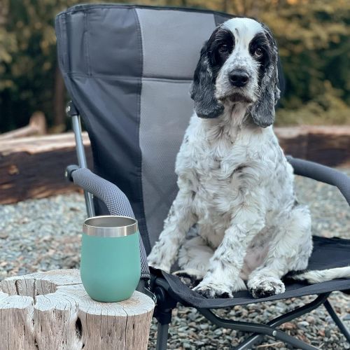  G4Free Low Sling Folding Beach Chair Camping Chairs Compact Concert Lumbar Back Support Festival Chair with Carry Bag