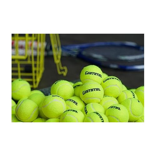  GAMMA Sports Pressureless Tennis Balls Box, Bulk Tennis Balls, Premium Tennis Accessories, 18, 36, 48, 75 Pack Sizes, Tennis Practice, Tennis Training, Pet Toys, Dog Ball, Coach, Indoor & Outdoor Play