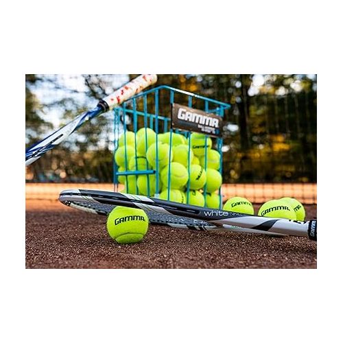  GAMMA Sports Pressureless Tennis Balls Box, Bulk Tennis Balls, Premium Tennis Accessories, 18, 36, 48, 75 Pack Sizes, Tennis Practice, Tennis Training, Pet Toys, Dog Ball, Coach, Indoor & Outdoor Play