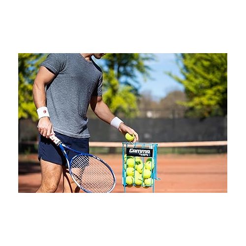  GAMMA Sports Pressureless Tennis Balls Box, Bulk Tennis Balls, Premium Tennis Accessories, 18, 36, 48, 75 Pack Sizes, Tennis Practice, Tennis Training, Pet Toys, Dog Ball, Coach, Indoor & Outdoor Play