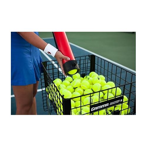  GAMMA Sports Pressureless Tennis Balls Box, Bulk Tennis Balls, Premium Tennis Accessories, 18, 36, 48, 75 Pack Sizes, Tennis Practice, Tennis Training, Pet Toys, Dog Ball, Coach, Indoor & Outdoor Play