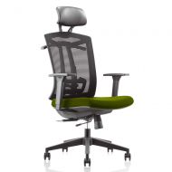 GAOAG 2019 New Mesh Office Chair with Hanger Ergonomic High Back Comfortable Lumbar Support Desk Chair Armrest Headrest Cushion Adjustable Black Green