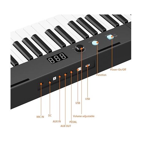  61 Key Keyboard Piano, Protable Electric Semi-Weighted Piano Keyboard for Beginner/Professional, With Power Supply, Built In Speakers, Pedal, Perfect for Birthday or Christmas(without stand)