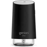 [아마존베스트]GENIANI Portable Small Cool Mist Humidifiers - USB Desktop Humidifier for Plants, Office, Car, Baby Room with Auto Shut Off & Night Light - Quiet Mini Humidifier, 250ml (Black)